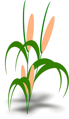 paradeepfertichem