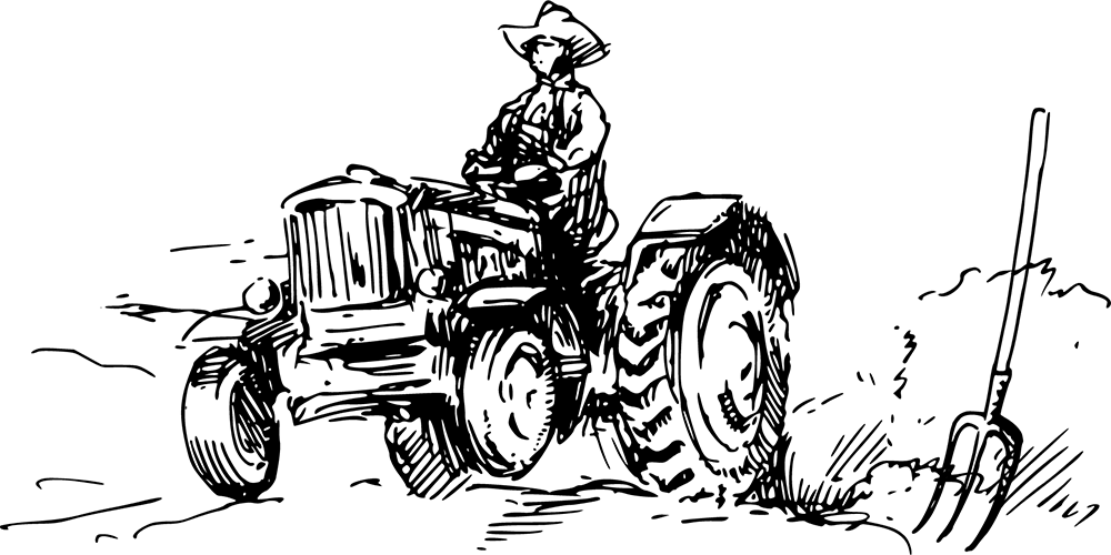 paradeepfertichem